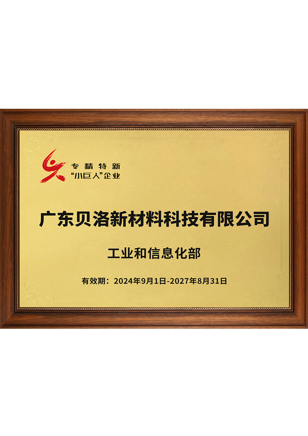 国家级专精特新&ldquo;小巨人&rdquo;企业